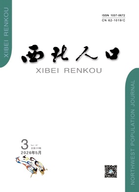西北人口封面